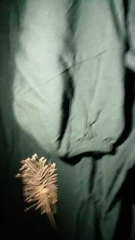 Product Review of Kaftan cinderella bunga cantik rayon Nyaman Muslim from Q**7 3