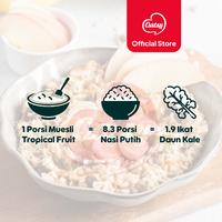Gambar OATSY Muesli Tropical Fruit 500g (Double Pack) dari Oatsy Oatmeal & Muesli Kota Administrasi Jakarta Barat 3 Tokopedia