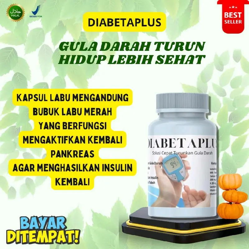[ BEST SELLER] KAPSUL SUSU LABU CINA ORIGINAL BPOM DAN HALLAL UNTUK DIABETES TURUN KAN GULA DARAH 1