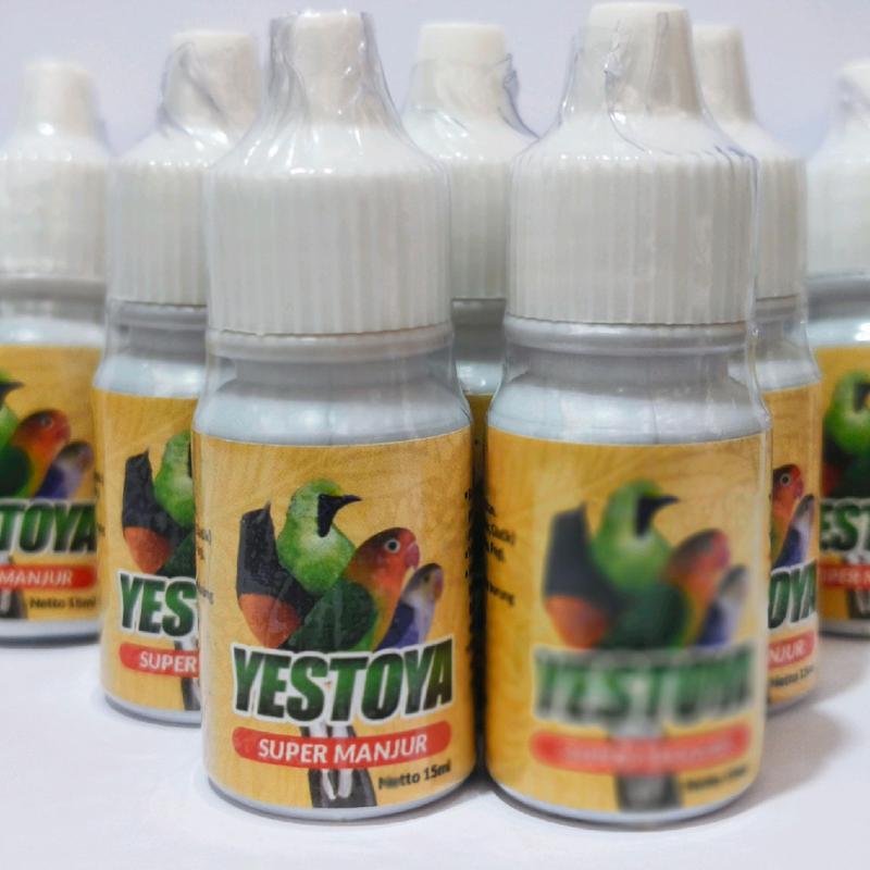 yestoya super manjur obat sakit burung 2