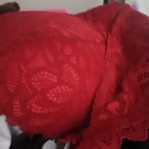 Set Bra CD Sorex Renda Bh stelan Kawat Wanita hantaran premium Nyaman