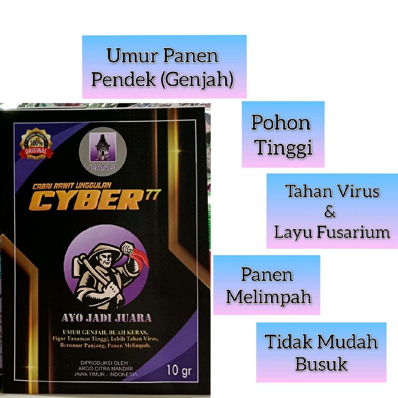 Benih Cabe Rawit Cyber 77 10gr Cabe Rawit Tahan Virus 1