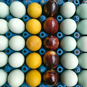 Telor asin 6 butir original bakar dan pindang asli Brebes telor asin masir asli telor bebek