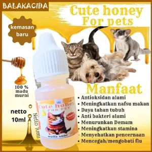 cute honey madu vitamin nafsu makan daya tahan tubuh kucing 10ml