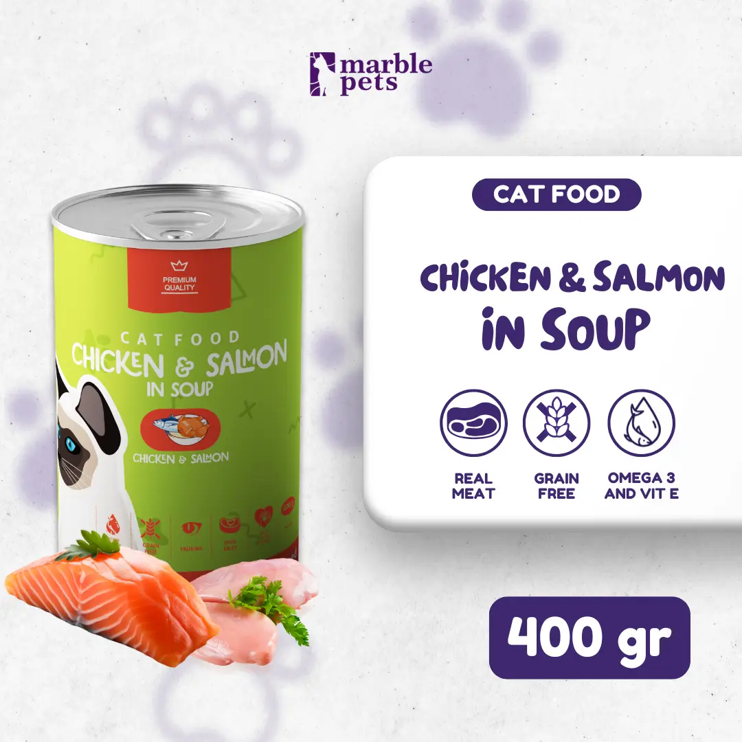 Chicken Salmon In Soup