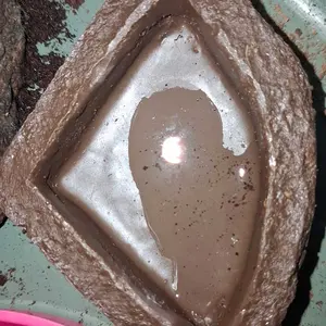 WD029 WATERDISH TEMPAT MINUM HEWAN REPTILE WADAH MAKANAN MINUMAN KALSIUM GECKO TOKEK KELOMANG KEONG UMANG INSECTA TARANTULA KALAJENGKING ULAR CORNSNAKE AKUARIUM HEWAN REPTIL AKSESORIS TERRARIUM DEKORASI KANDANG PET