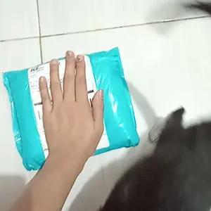 Golden Paw - GoldFlu 10 ML Obat Flu Kucing untuk Meredakan Gejala Flu dan Pernafasan dengan Cepat