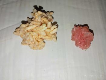 Product Review of 1 kg Rengginang Paket 4pcs Food rengginang  terasi mentah from R**i 1