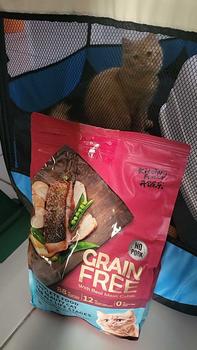 Product Review of KITCHEN FLAVOR BEAUTY CAT FOOD 1,5KG FRESHPACK from D**e 0