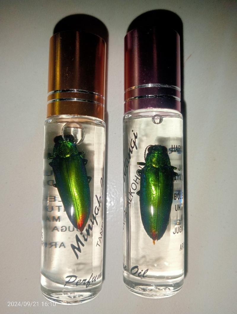 Product Introduction of minyak samberlilin raja ratu wangi asli harum 1
