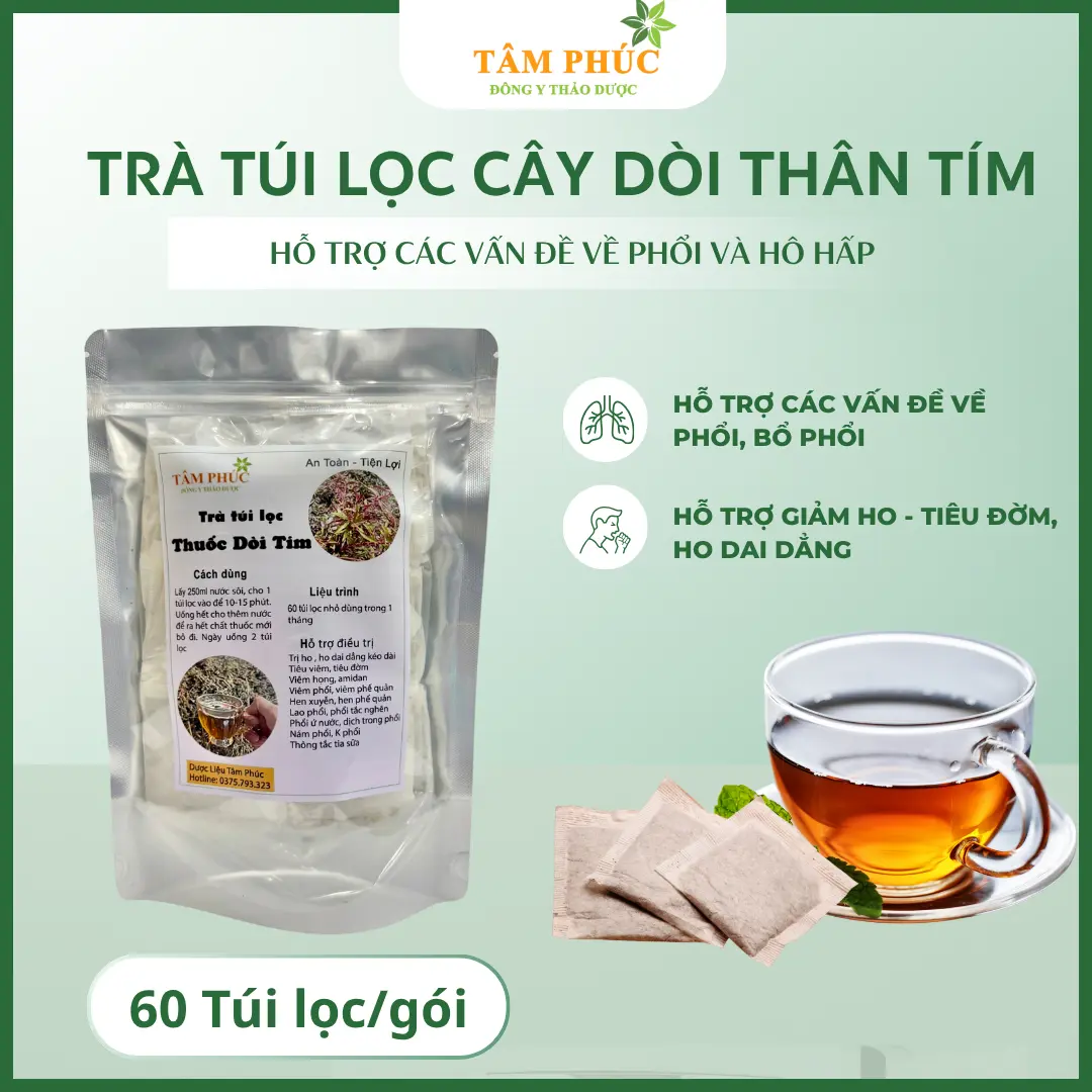 [60 túi lọc] - Túi lọc cây dòi thân tím hỗ trợ các vấn đề về Phổi và Hô Hấp( Cây bọ mắm)  + Tặng Hạt Giống
