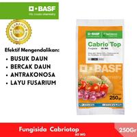 Gambar Cabrio Top 250GR - Fungsida Obat Patek Antraknosa Layu Fusarium Busuk Daun dari BASF Petani Sejahtera Kota Tangerang 1 Tokopedia