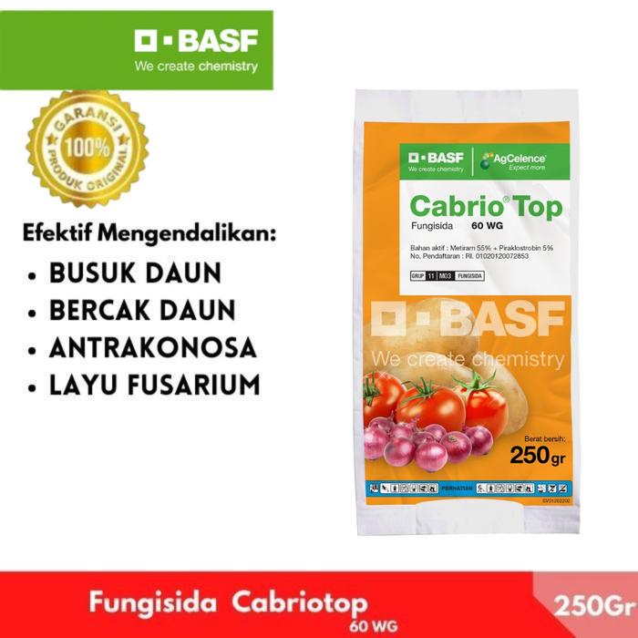 Gambar Cabrio Top 250GR - Fungsida Obat Patek Antraknosa Layu Fusarium Busuk Daun dari BASF Petani Sejahtera Kota Tangerang Tokopedia