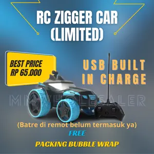 Mainan Mobil Remote Control RC Zigger Car USB Charge