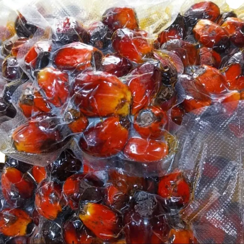 UMPAN BUAH SAWIT PERAM PADU 400+GRAM - VACCUM PACK - | PATIN - TikTok ...