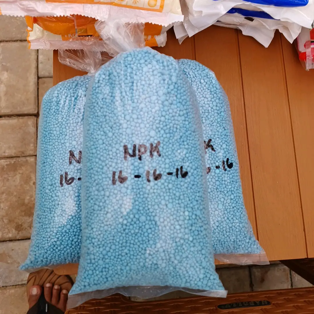 NPK 16-16-16 Mutiara (Curah) 1kg