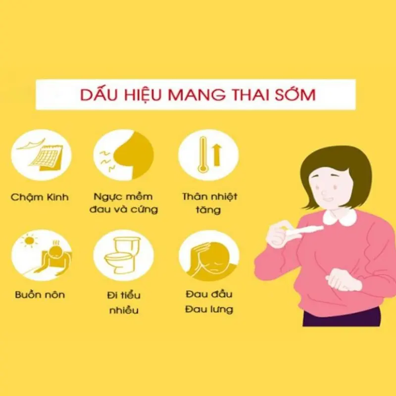 Que Thử Thai Amestick Test Thử Thai Phát Hiện Nhanh, Đơn Giản, Chính Xác 3