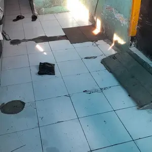 baju renang anak polos baju renang anak laki laki dan perempuan usia 3 sampai 15 tahun Sport