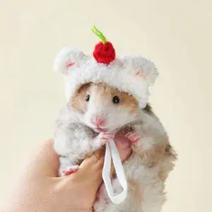 Topi Rajut Ular / Gecko / Mini Biawak / Tokek | Topi Hamster Rajut | Topi Gecko Rajut | Topi Rajut Reptile Mini
