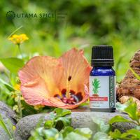 Gambar Utama Spice Turmeric Essential Oil 10ml - 10ml dari Utamaspice Kab. Gianyar 4 Tokopedia