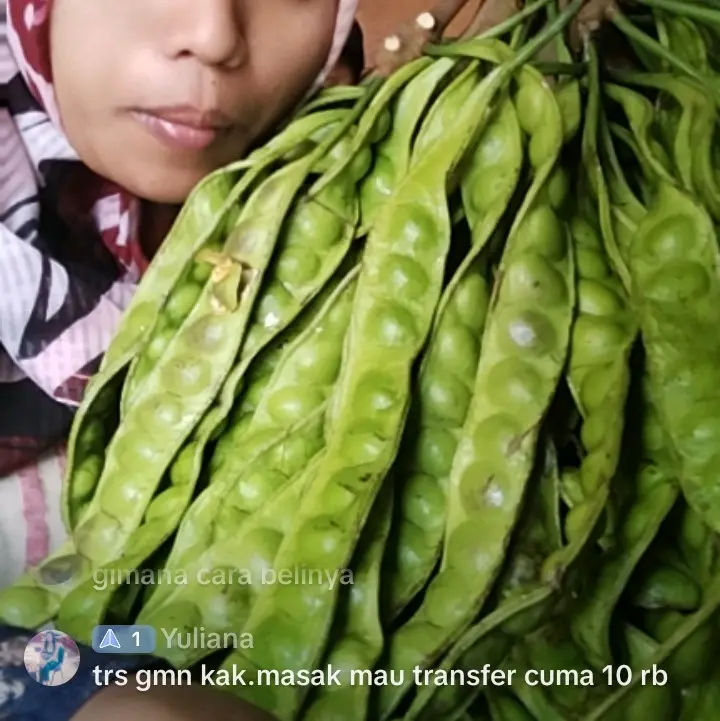 pete bahan makanan Indonesia, kualitas sedang bagus