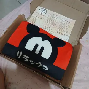 SIAP PAKAI Bantal Penghangat Karakter Lucu / Bantal Air Panas / Heating Pad Elektrik