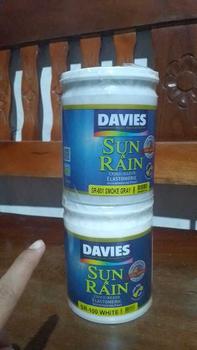 Product Review of Davies Sun & Rain Acrylic Elastomeric Paint - Neutrals 1L from M**E N**🥰 0