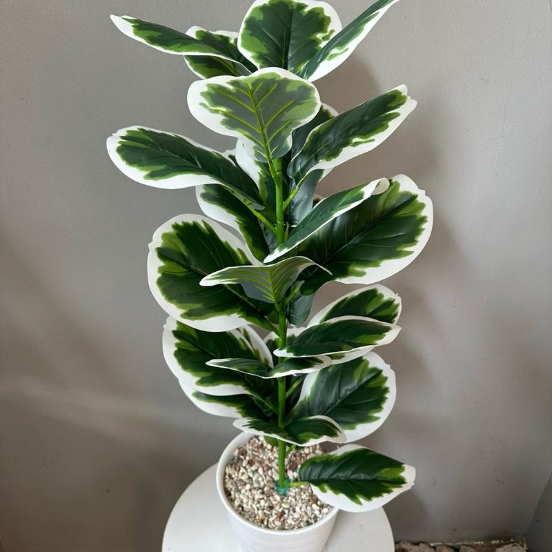 TANAMAN ARTIFICIAL KETAPANG  PUTIH 23DAUN(sudah+pot) 0