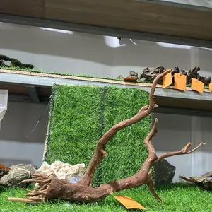 TEKAO Akar Rasamala Size Akar Rasamala untuk Dekorasi Taman dan Aquascape