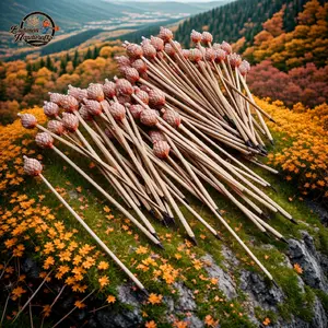 Anak Sumpit / Peluru Sumpit Bambu