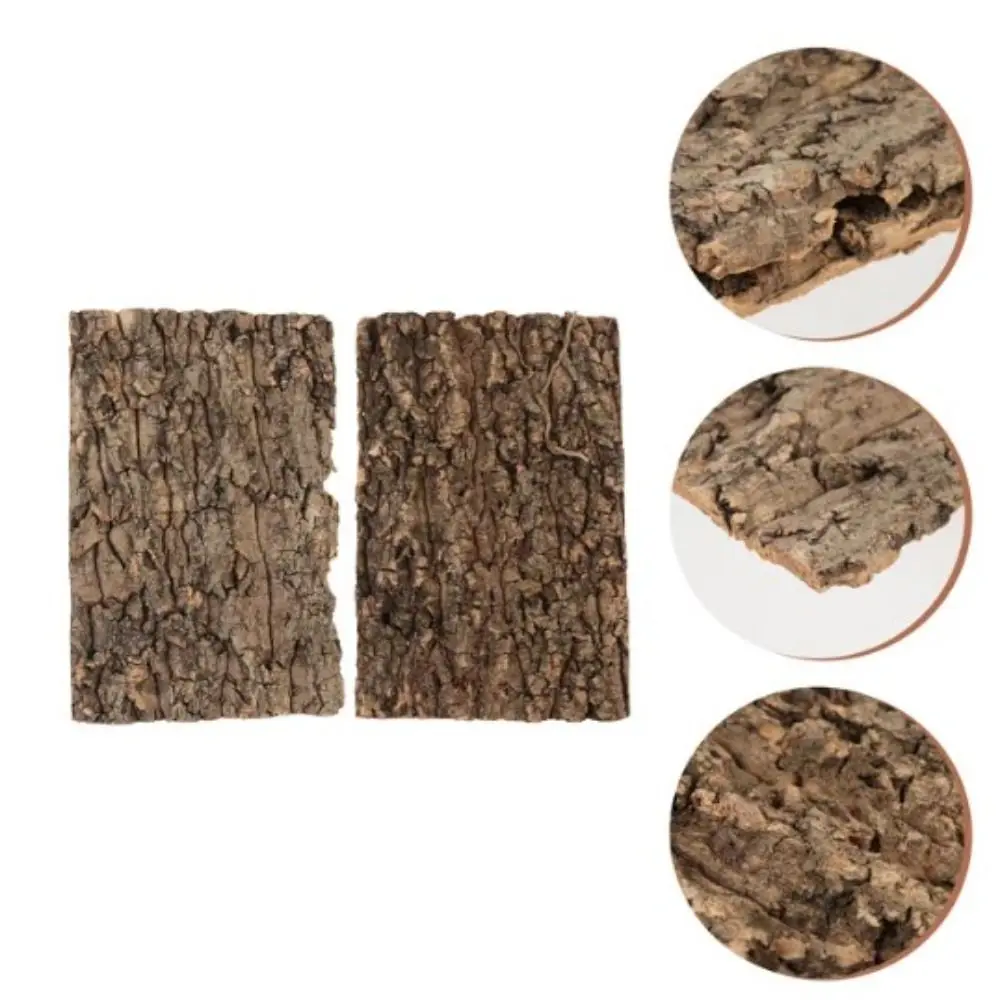 5PCS Moss Decor Natural Wood Reptile Climbing Bark Light Weight No Harm Natural Tree Bark Corrosion Resistance Tree Bark Cork Reptile