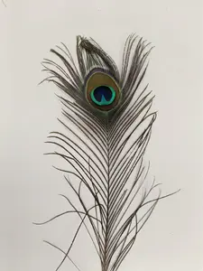 replika bulu merakk 40cm / bahan reog / bulu reog ponorogo / reyog