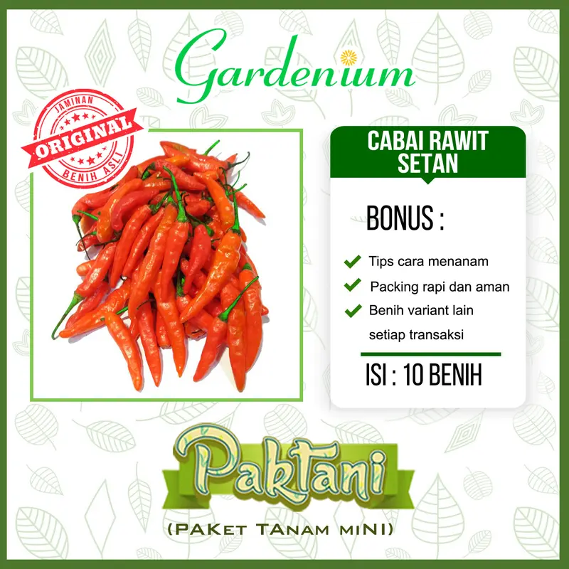 10 Benih Cabe Rawit Setan Cabai Unggul Paktani 0