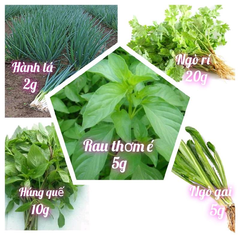 Combo 5 hạt giống rau gia vị: hành lá ngò rí ngò gai húng quế rau thơm é