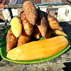 Ubi Yakon 1 Kilogram Fresh