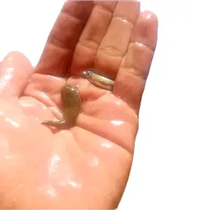 size steril untuk kesehatan tubuh