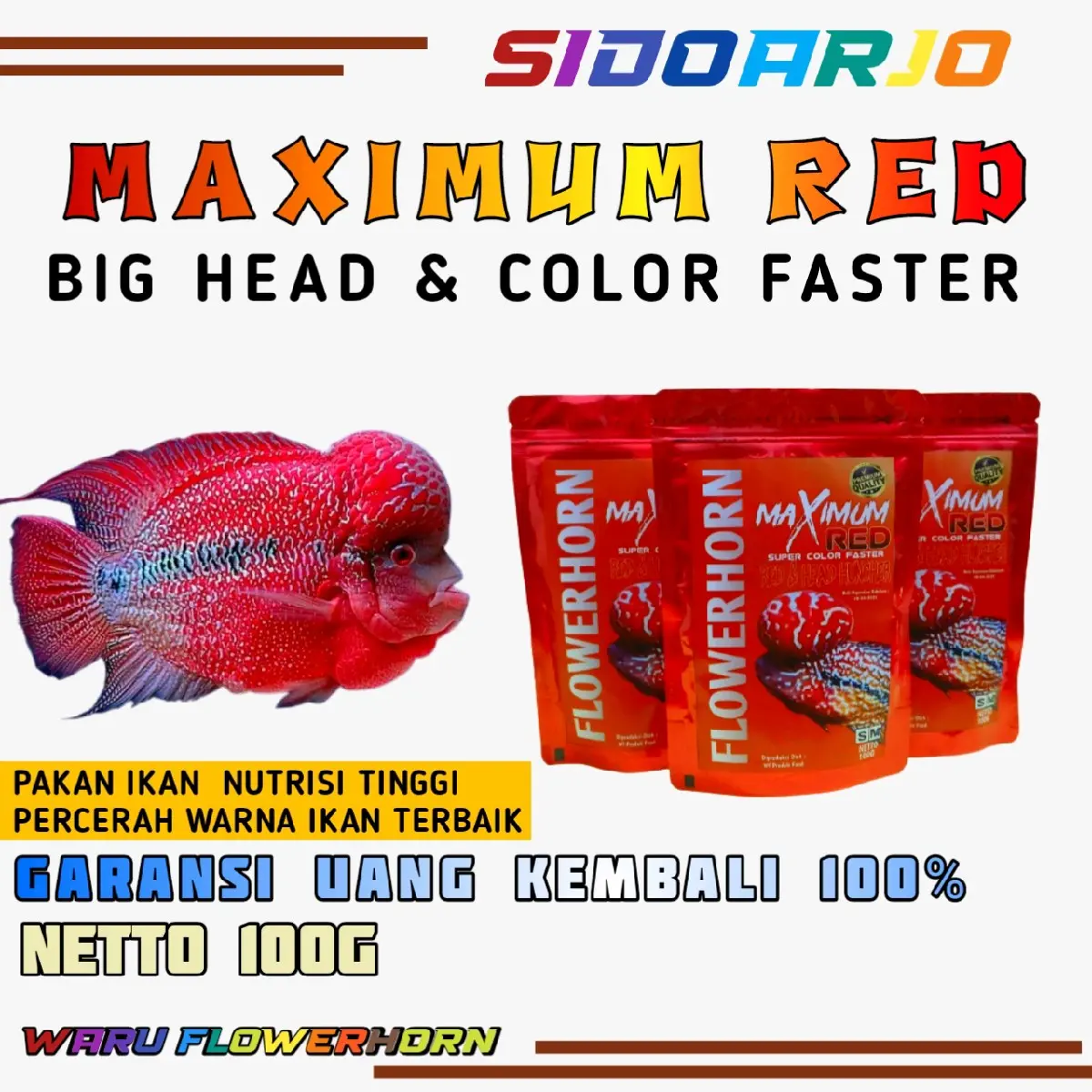 pelet/pakan ikan louhan MAXIMUM RED 100G terbukti ampuh untuk menaikan warna dan jenong