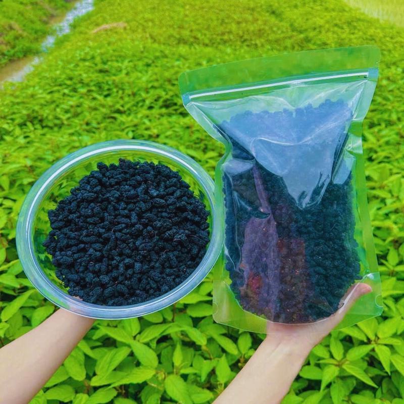 FREESHIP 1Kg Dâu Tằm Sấy Khô Nguyên Quả To Đều Dẻo Ngọt , Hàng Cao Cấp, Giá Siêu Rẻ, trái cây - Siêu thị thảo mộc Phương Nhi