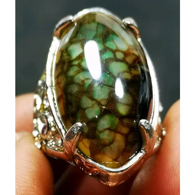 Cincin pria model Sisik naga top terpoluler Full Serat ring variasi kuku dan cakar  Rings anti 3