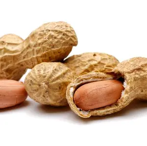 kacang berkualitas terbaik merek RMK&RMK GMI isi(255pcs)