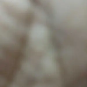 Ciptadent Sikat Gigi Classic Isi 3 Soft Medium