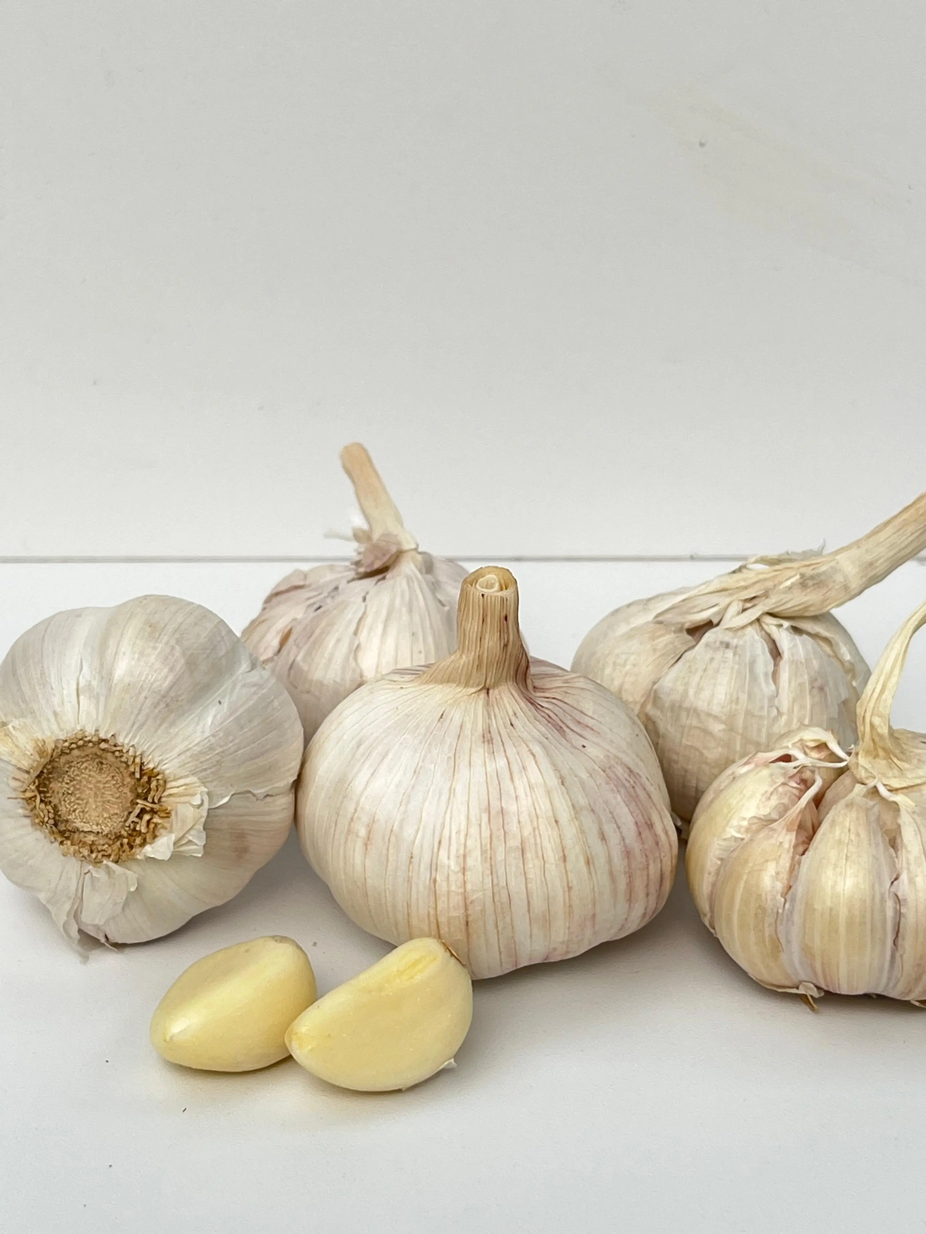 BAWANG PUTIH KATING | BAWANG PUTIH BIASA KEMASAN EKONOMIS