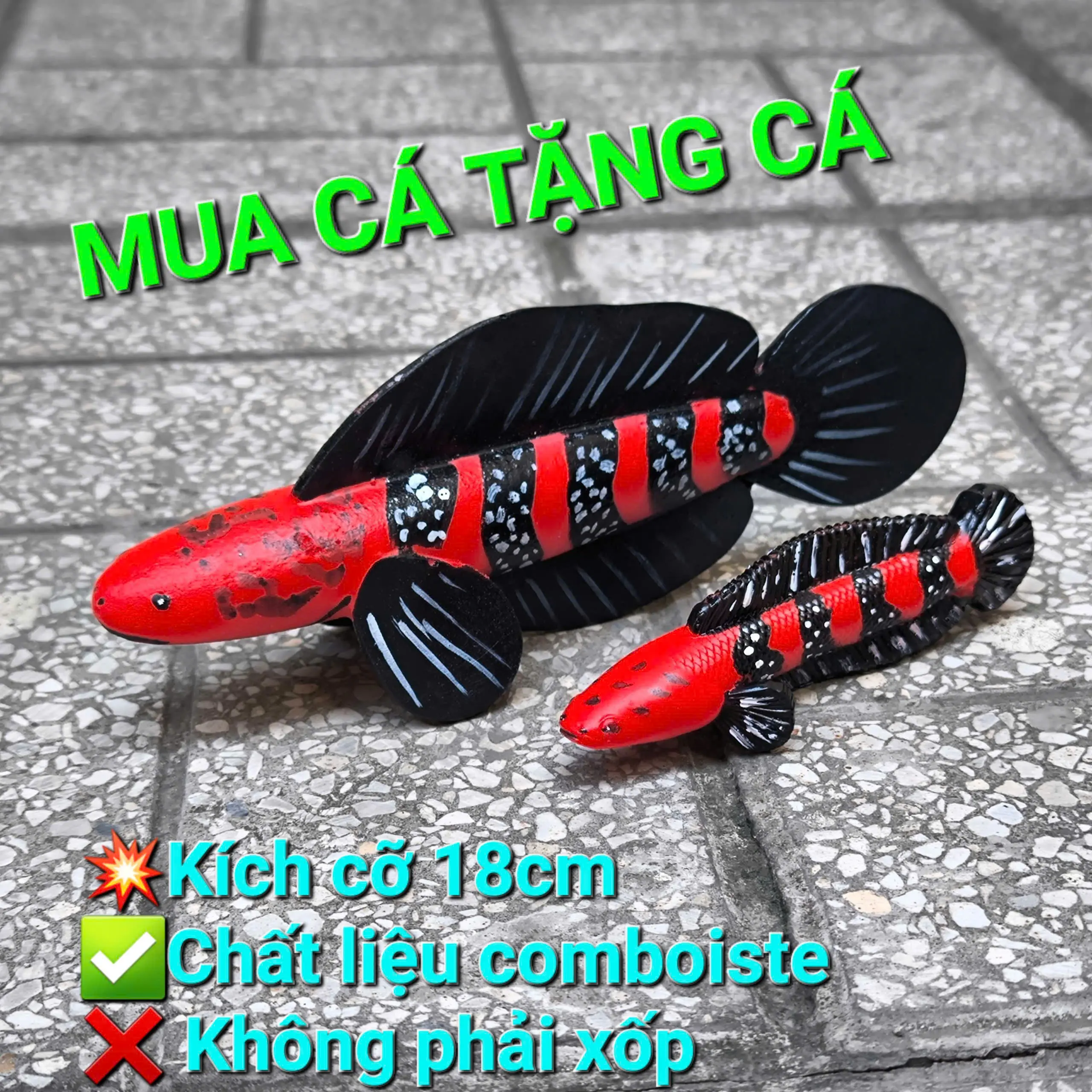 |MUA CÁ TẶNG CÁ| Cá Kè 18CM COBOSITE cứng cáp – Đẹp Chuẩn Dành Cho Anh Em Chơi Cá -Cá sung quẩy bá cháy !!!