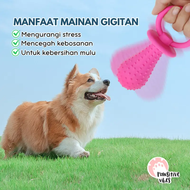 Mainan Gigitan Anjing Model Tulang Berduri Tahan Gigit - Pet Chew Rubber- Mainan Gigitan Kunyah Untuk Anjing dan Kucing - Mainan gigitan Karet Berduri Bergerigi Bahan TPR 5