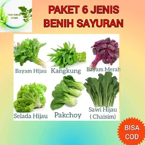 PAKET 6 JENIS BENIH SAYURAN CEPAT PANEN + BONUS