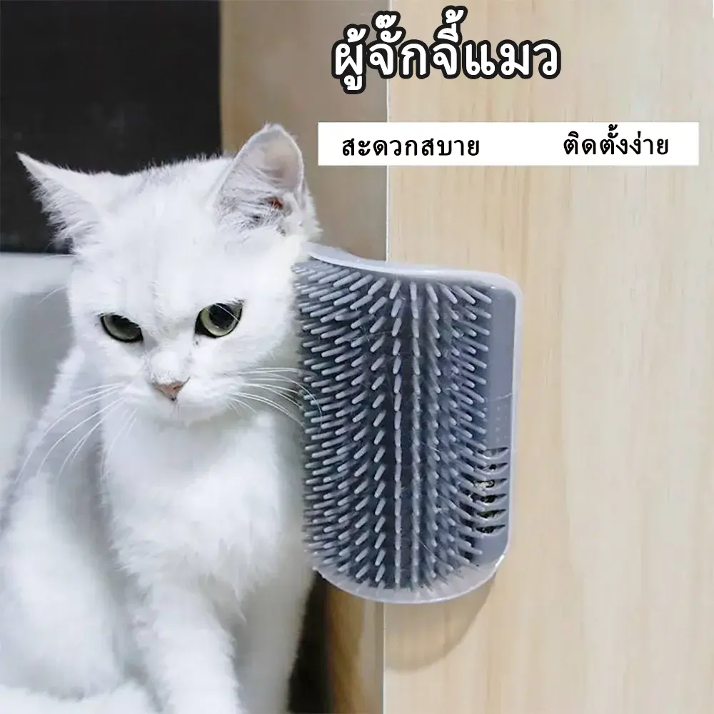 แปรงแมว แปรงเข้ามุม หวีนวดตัวเอง แปรงติดผนัง พร้อมหญ้าชนิดหนึ่ง สำหรับนวดหน้า พร้อมหวีตุ่น อุปกรณ์กรูมมิ่งแมว เครื่องขัดเข้ามุมแมว