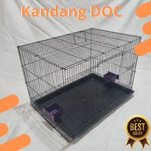Kandang DOC Berkualitas Tinggi untuk Ayam, Burung, dan Hewan Lainnya