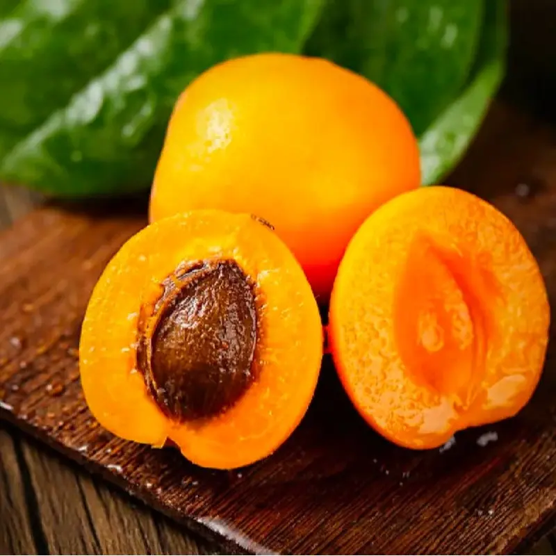 Dried Red Apricots No Additives 2