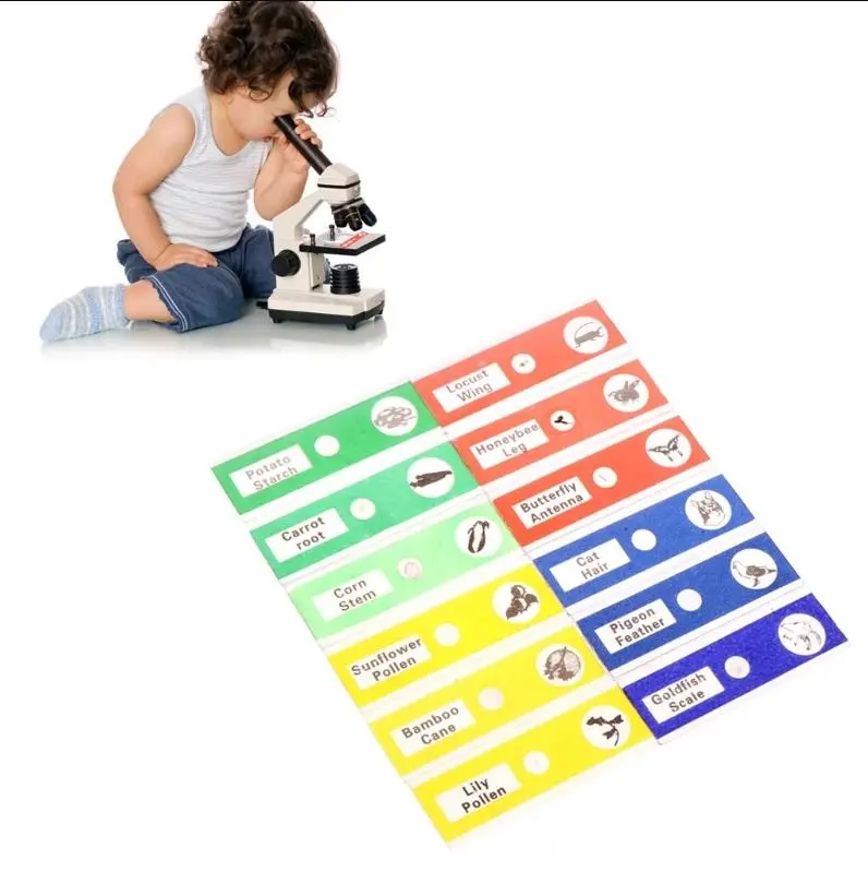 Microscope slides 12pcs Microbiological Specimens Biology Microscope Slices Lab Specimen