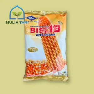 BENIH JAGUNG BISI 18 HIBRIDA 1 KG Original TAHAN BULAI
